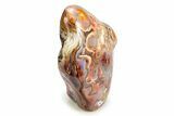 Polished Crazy Lace Agate - Mexico #246314-1
